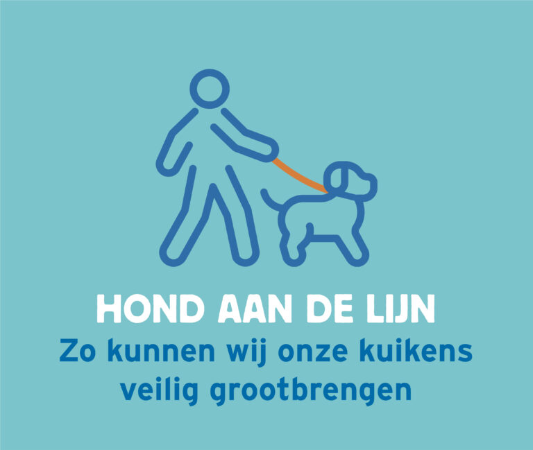 handelingsperspectief_hond